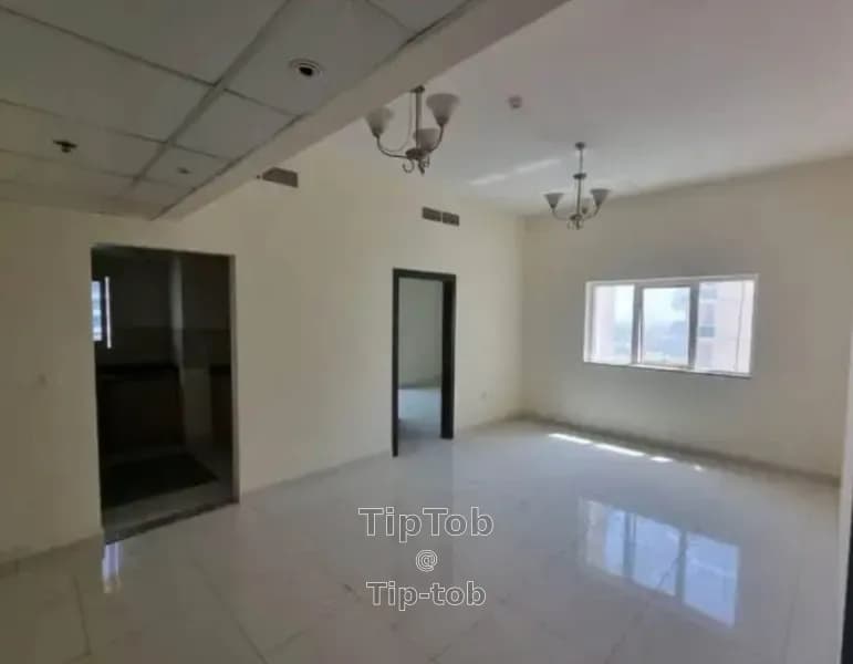 https://db.tiptob.com/uploads/IMAGE/IMG_1762159597133_3.webp