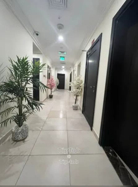 https://db.tiptob.com/uploads/IMAGE/IMG_1764841868821_1.webp