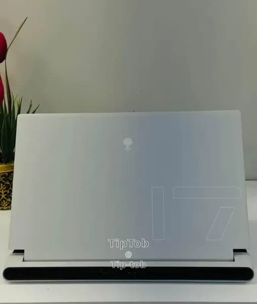 https://db.tiptob.com/uploads/IMAGE/IMG_1770122485170_3.webp